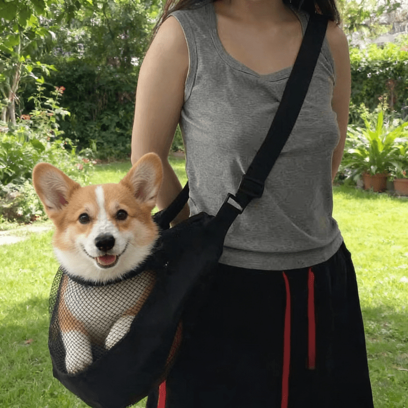 Hafif, Nefes Alabilen File Köp - Travel Accessories Dog incelemesi ve fiyatı