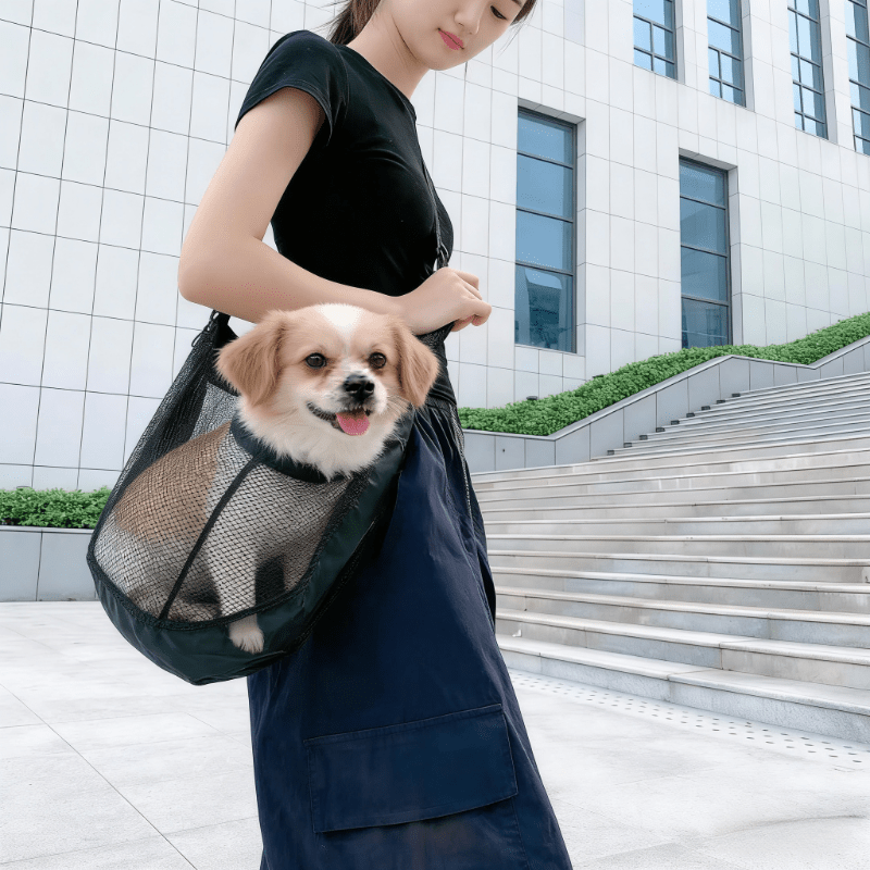Hafif, Nefes Alabilen File Köp - Travel Accessories Dog incelemesi ve fiyatı