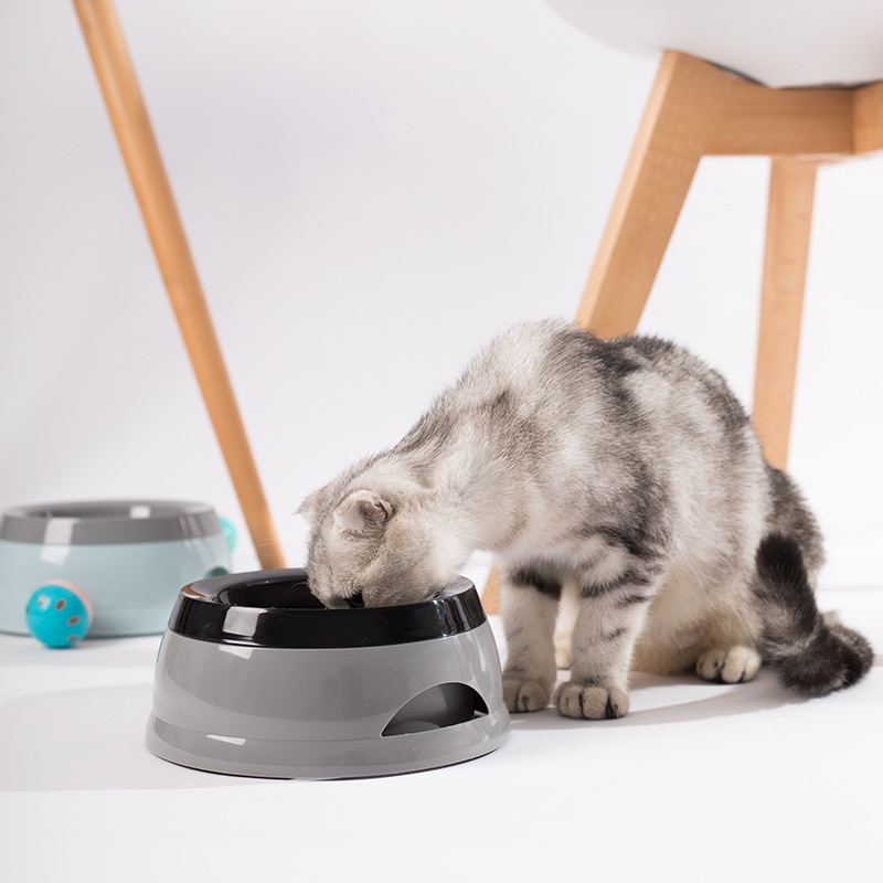 Evcil Hayvan Köpek Mama Kabı,  - Travel Accessories Dog incelemesi ve fiyatı