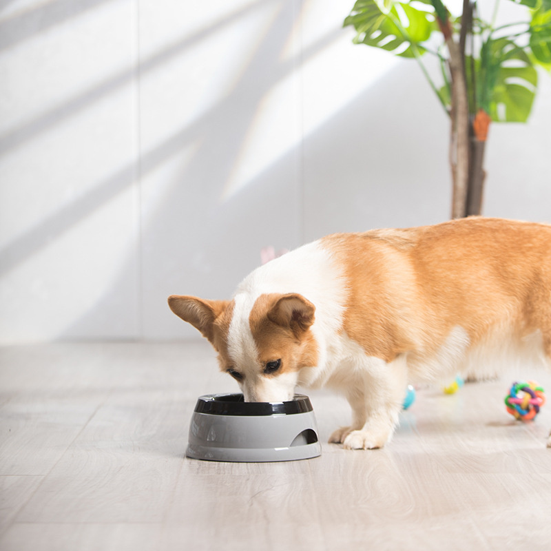 Evcil Hayvan Köpek Mama Kabı,  - Travel Accessories Dog incelemesi ve fiyatı