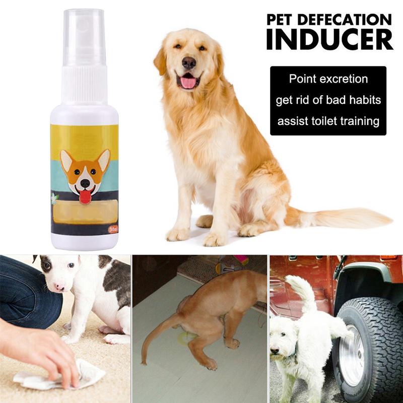1 adet köpek lazımlık tren spr - Travel Accessories For Train incelemesi ve fiyatı