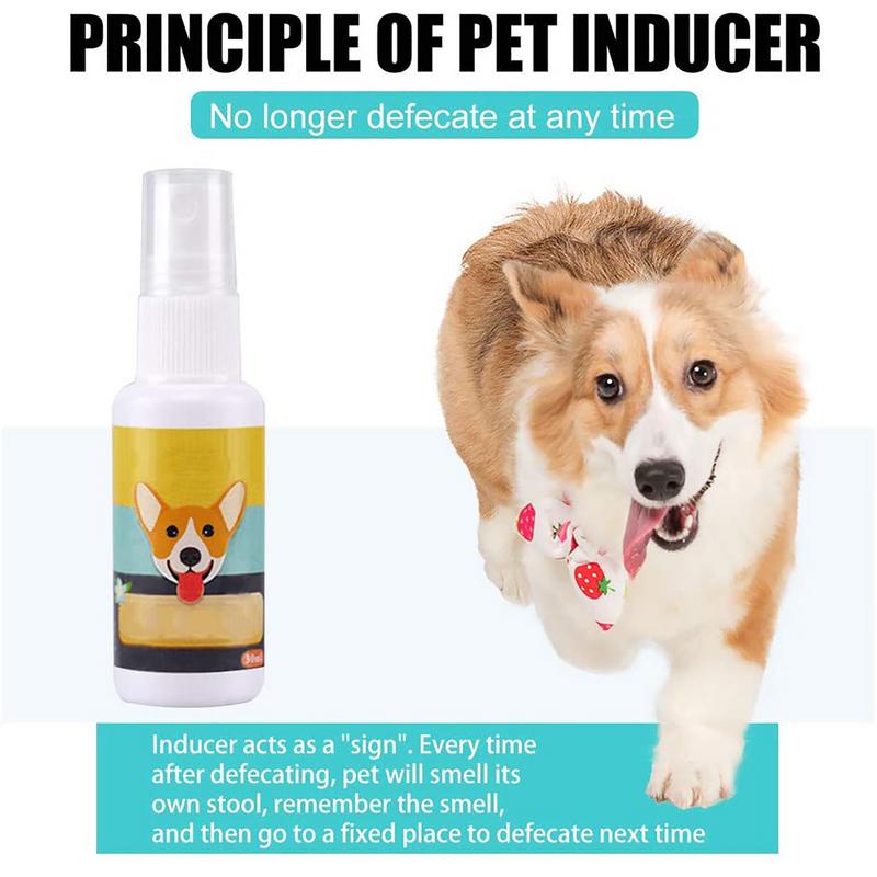 1 adet köpek lazımlık tren spr - Travel Accessories For Train incelemesi ve fiyatı